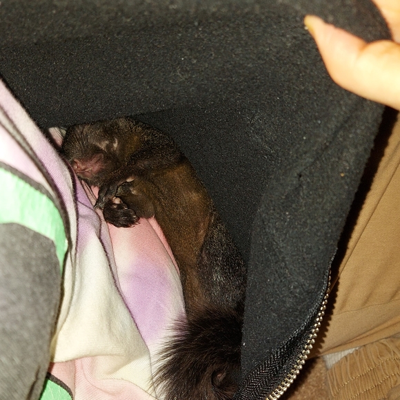 Meet your Posher, Kim - Picture 4 of 5